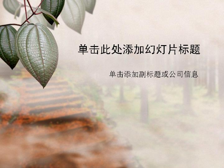 枝头上的漂亮树叶PPT模板