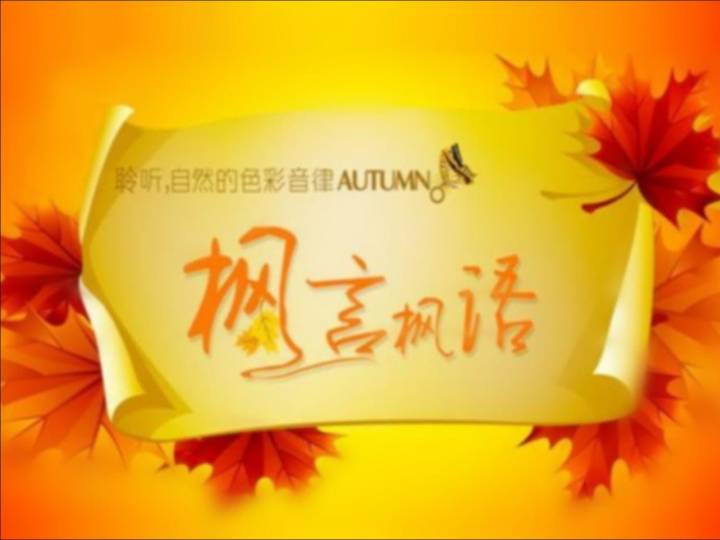 枫叶背景PPT模板下载