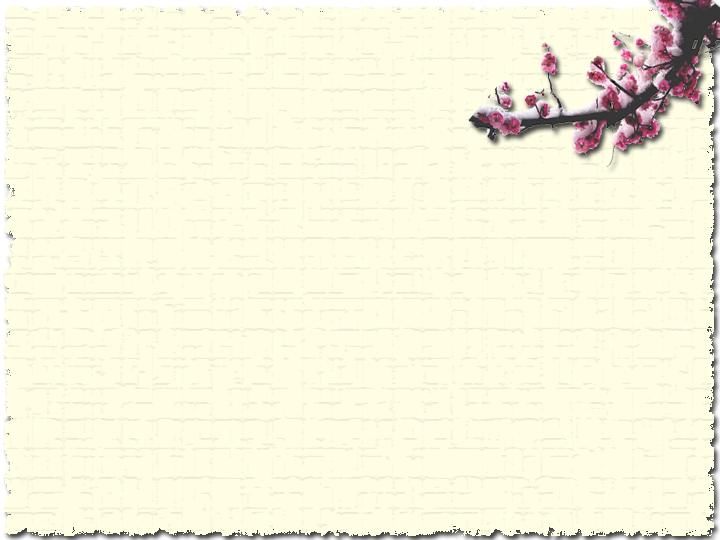 梅花精美背景PPT模板