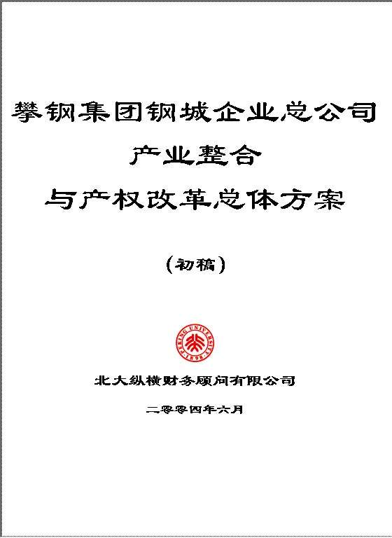 XX集团钢城企业总公司产业整合方案Word模板