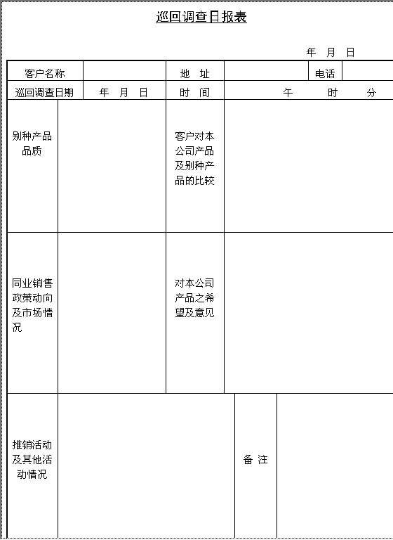 巡回调查日报表Word模板