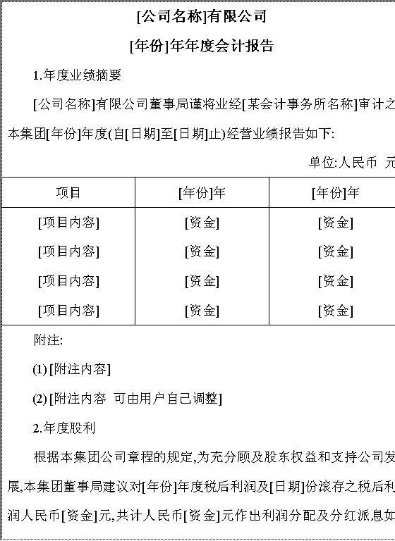 年度会计报告Word模板