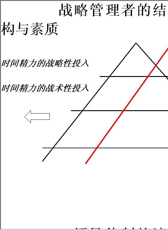 战略管理者的结构Word模板