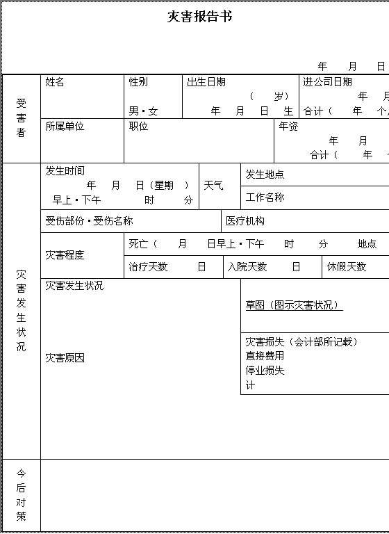 灾害报告书Word模板