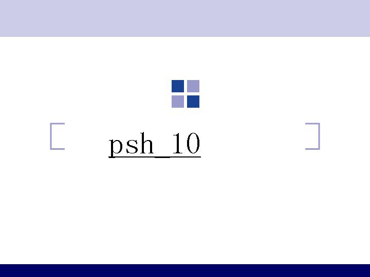 psh_10PPT