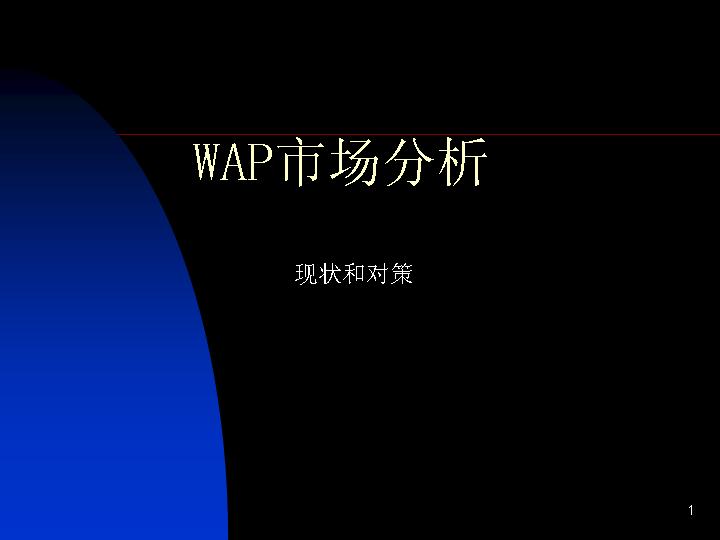 WAP市场分析PPT