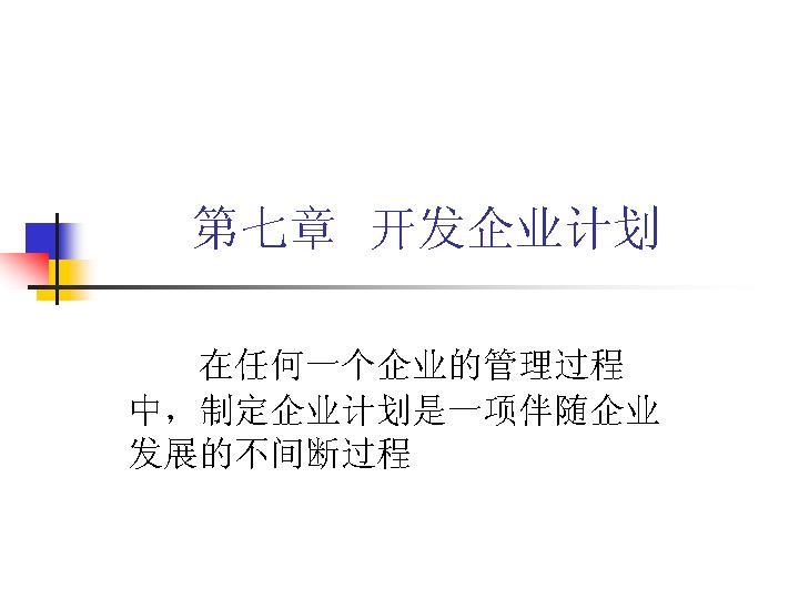 开发企业计划PPT