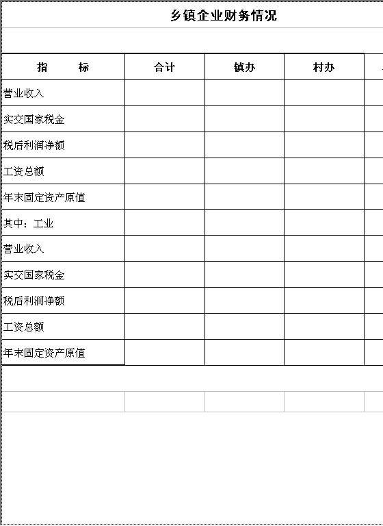乡镇企业财务情况Excel模板