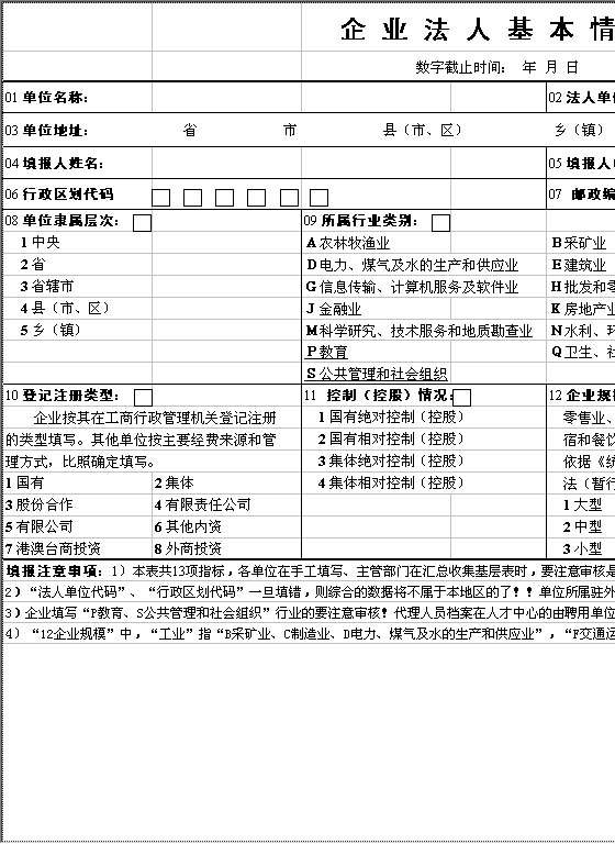 企业法人基本情况表Excel模板