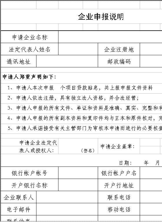 企业申报说明Excel模板