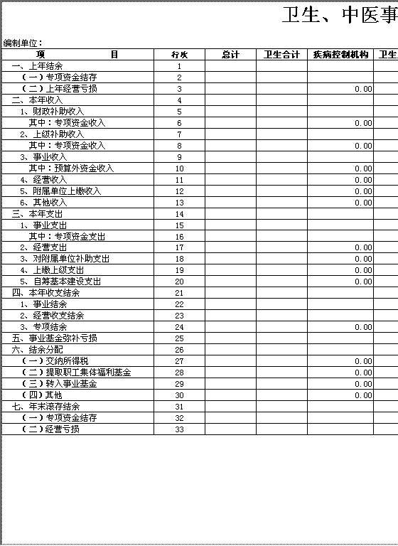 卫生、中医事业单位收支表Excel模板