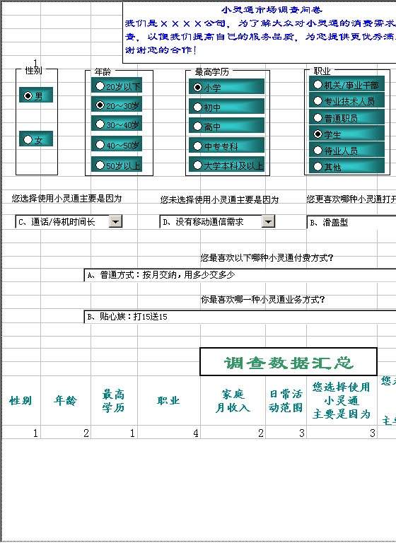 市场调查问卷数据管理Excel模板