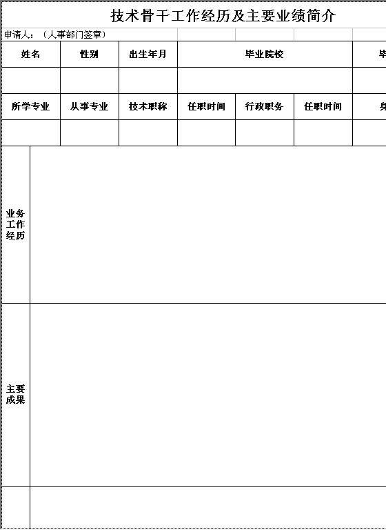 技术骨干工作经历及主要业绩简介Excel模板