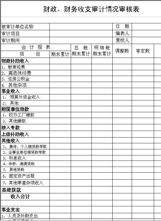 财政、财务收支审计情况审核表Excel模板