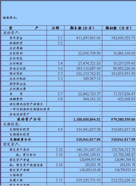 资产负债表6Excel模板