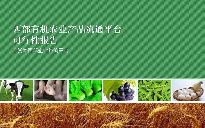 农业项目汇报PPT模板