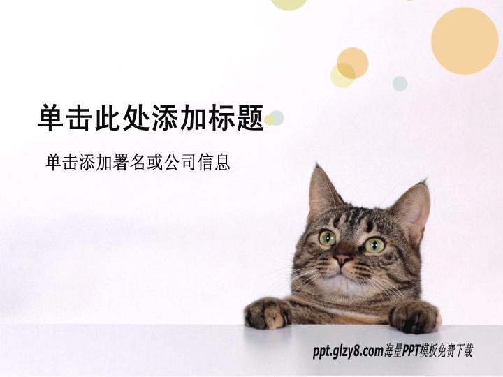 可爱的小猫宠物类PPT模板