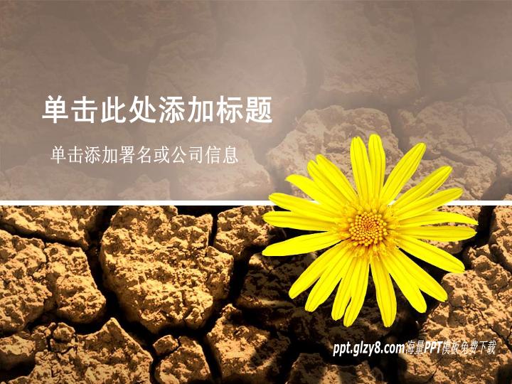 龟裂土地上的小花PPT模板