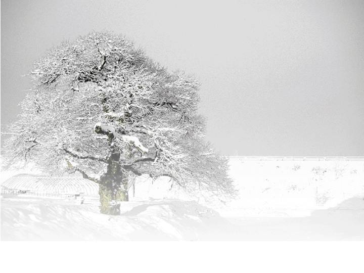 下雪了风景PPT模板