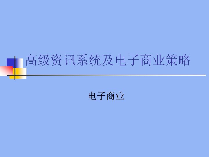 高级资讯系统及电子商业策略PPT课件