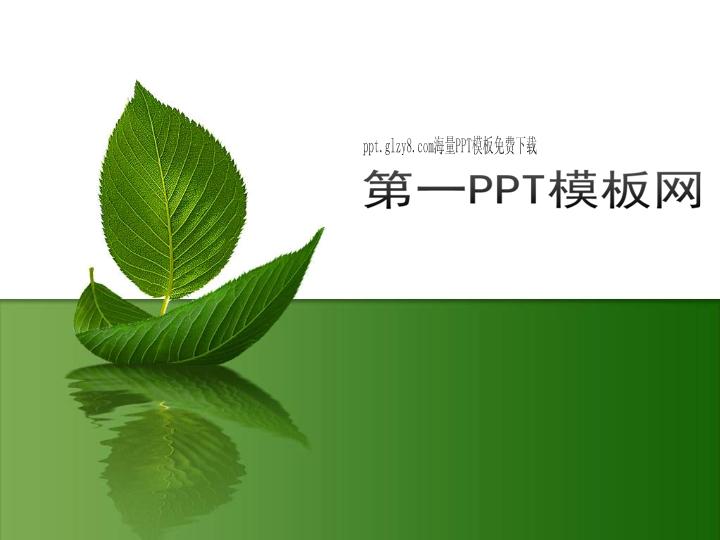 简洁树叶背景植物PPT模板下载