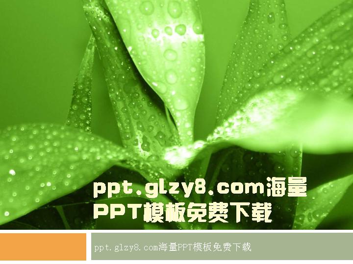 绿色植物背景PPT模板下载