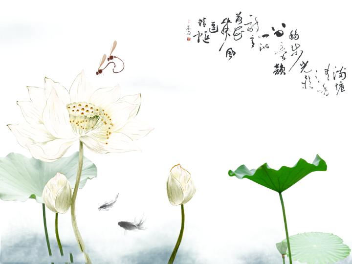 精美荷花背景PPT模板