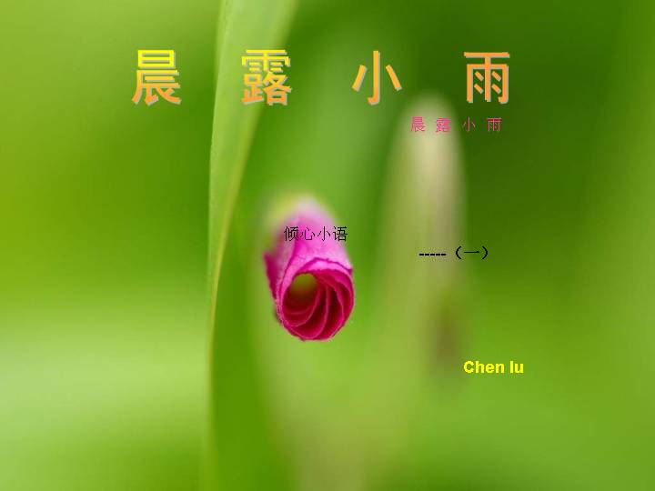 晨露小雨幻灯片