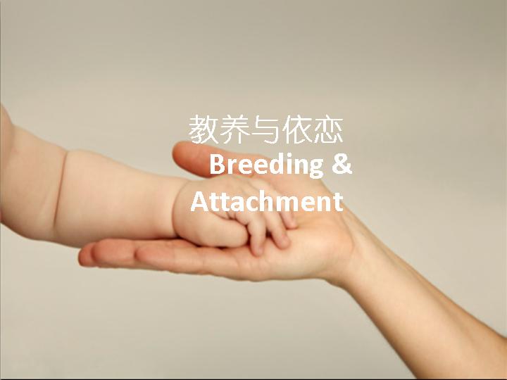 孩子教育PowerPoint幻灯片下载