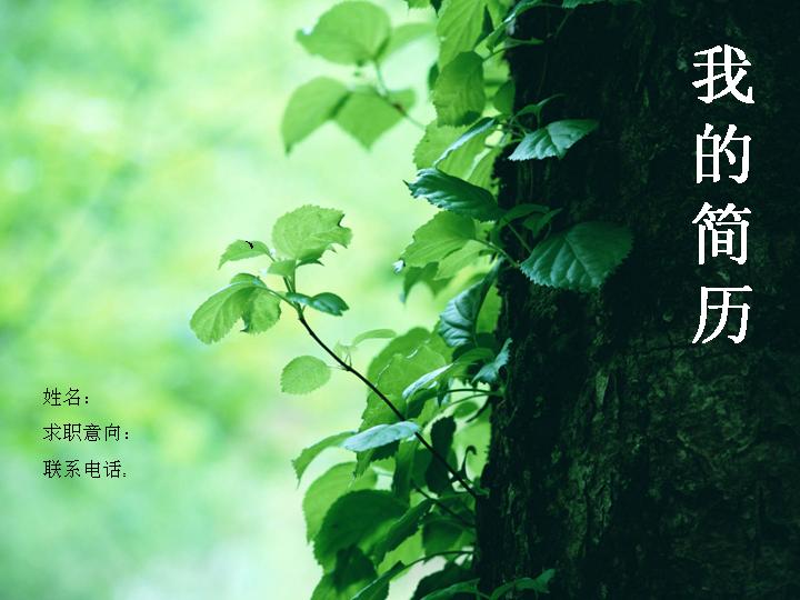我的简历PPT模板