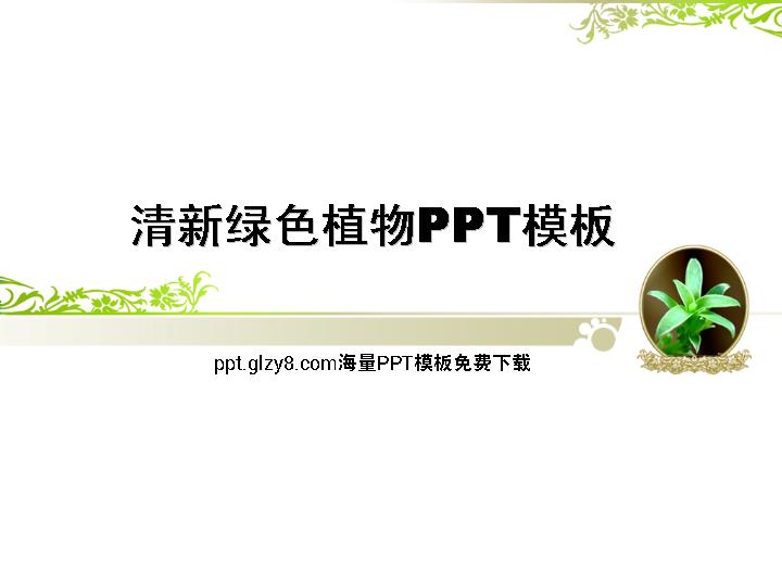 清新植物嫩芽PowerPoint模板下载