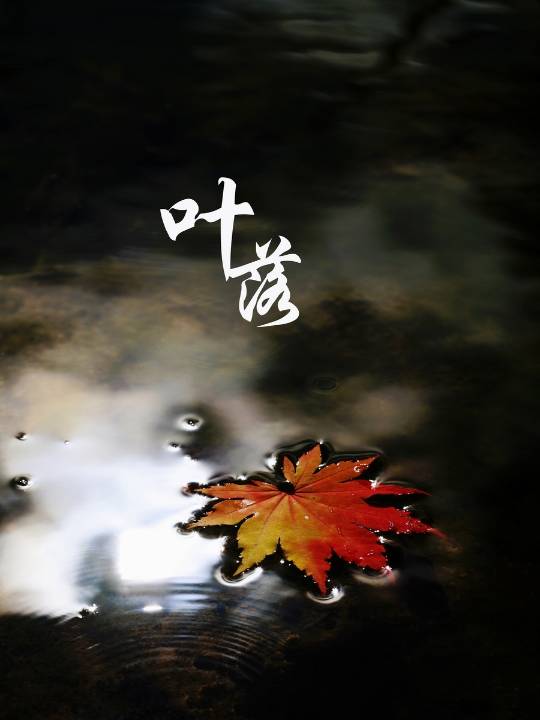 落叶背景PPT模板