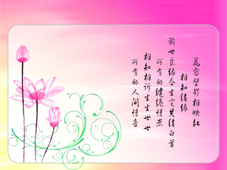 粉色莲花诗意背景PPT模板