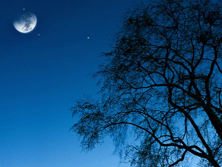 深夜风景PPT模板