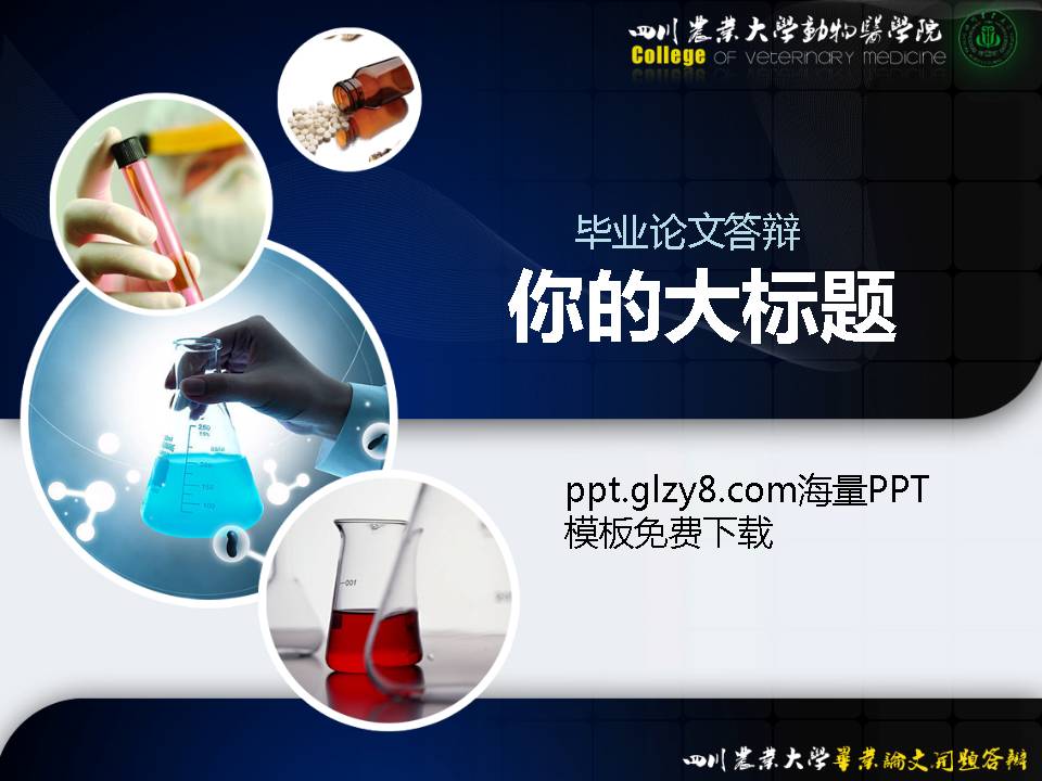 四川农业大学动物医学院毕业论文答辩PPT模板