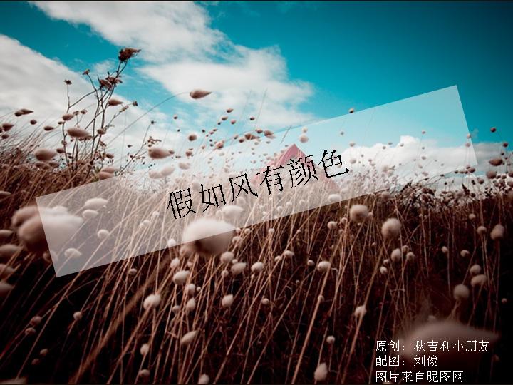 假如风有颜色幻灯片