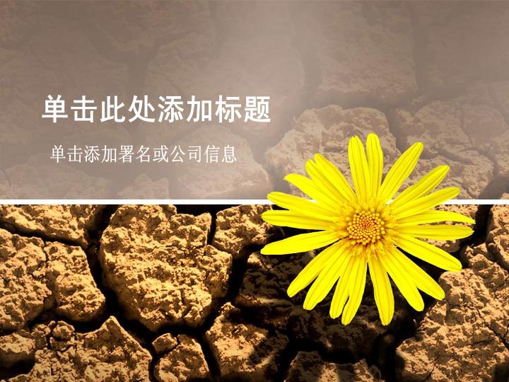 龟裂土地向日葵背景PPT模板