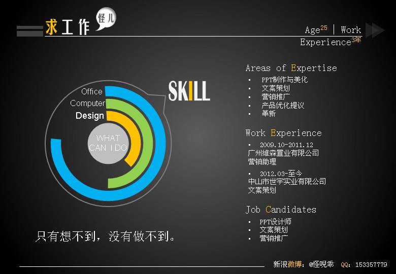 一页纸简历PPT模版
