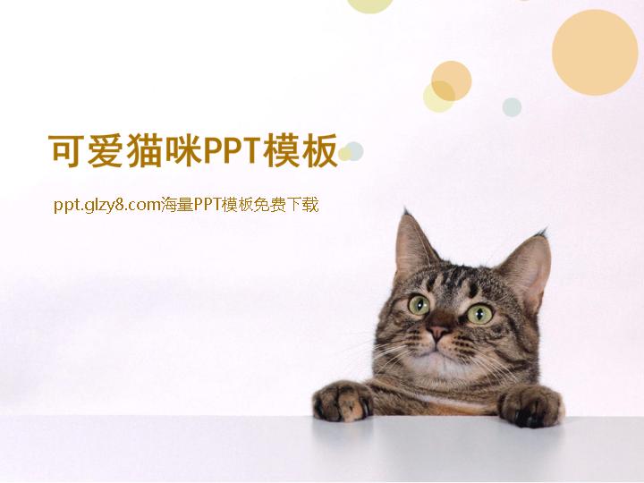 可爱猫咪幻灯片模板下载