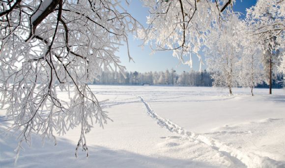 白茫茫的雪风景PPT背景图片