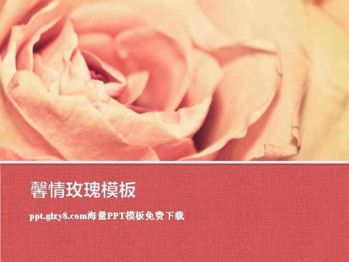 粉色烂漫玫瑰花背景PPT模板