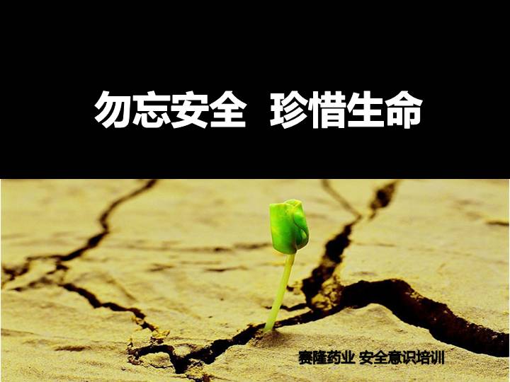 勿忘安全 珍惜生命——安全意识培训PPT课件