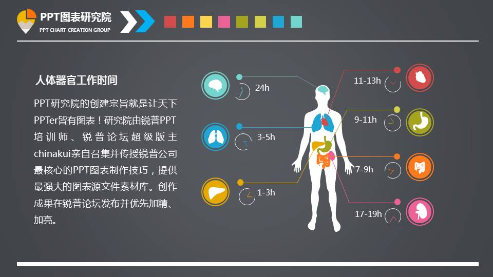 人体器官指示说明PPT图表