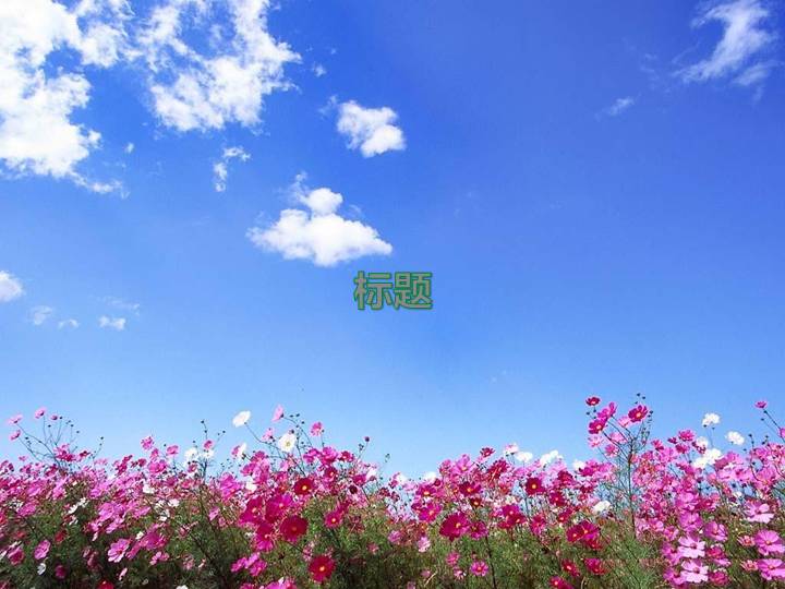 蓝天白云鲜花背景花丛自然风景PPT模板下载