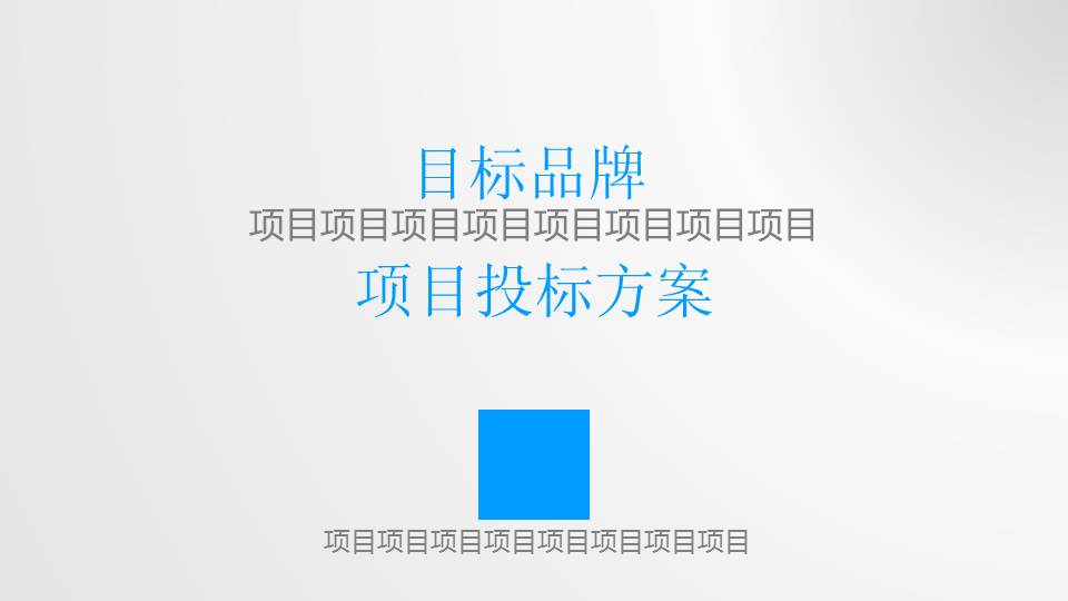 品牌项目投标方案通用PPT模板