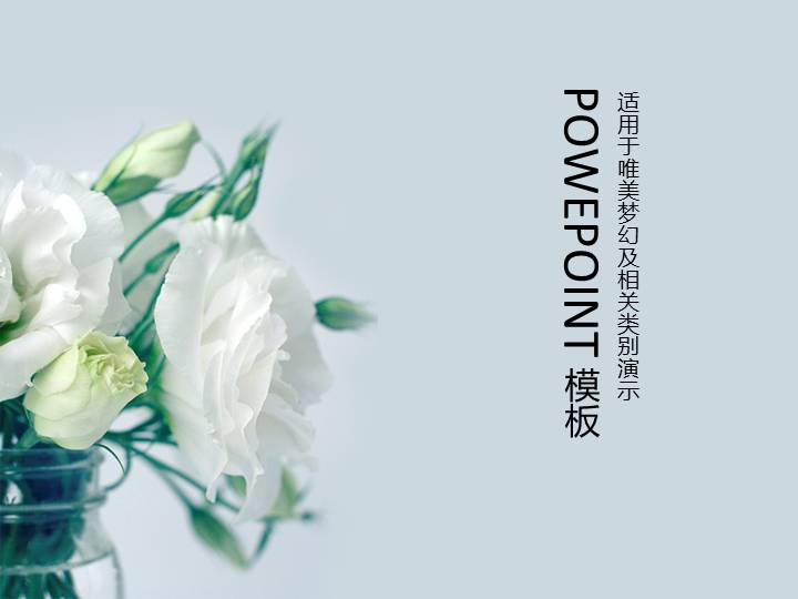 温馨浪漫的白玫瑰PPT模版