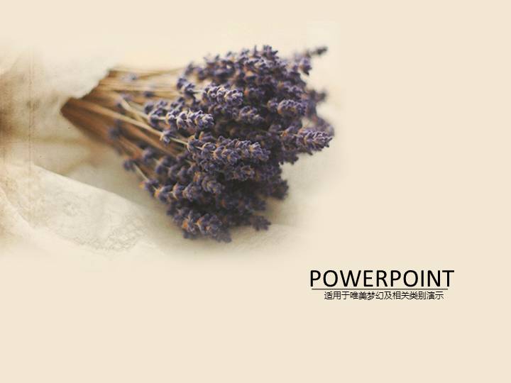 温馨淡雅的薰衣草PPT模板