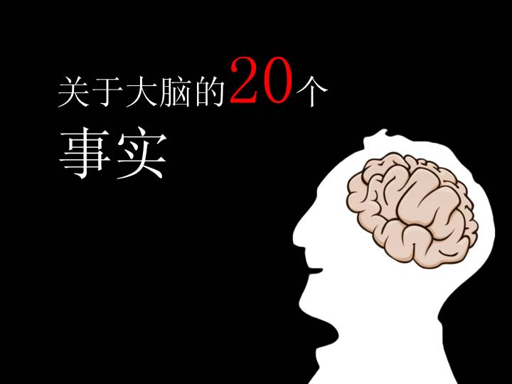 关于大脑的20个事实PPT课件