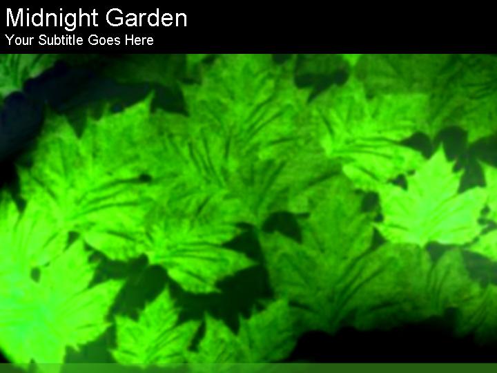 幻灯片模版midnight garden PPT模板