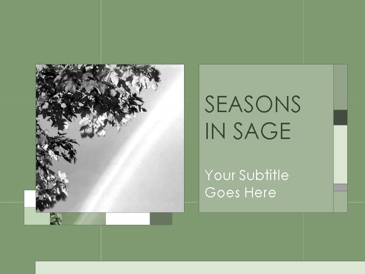 幻灯片模版seasons in sage PPT模板